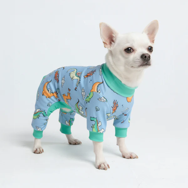 Pajamas & Loungewear
