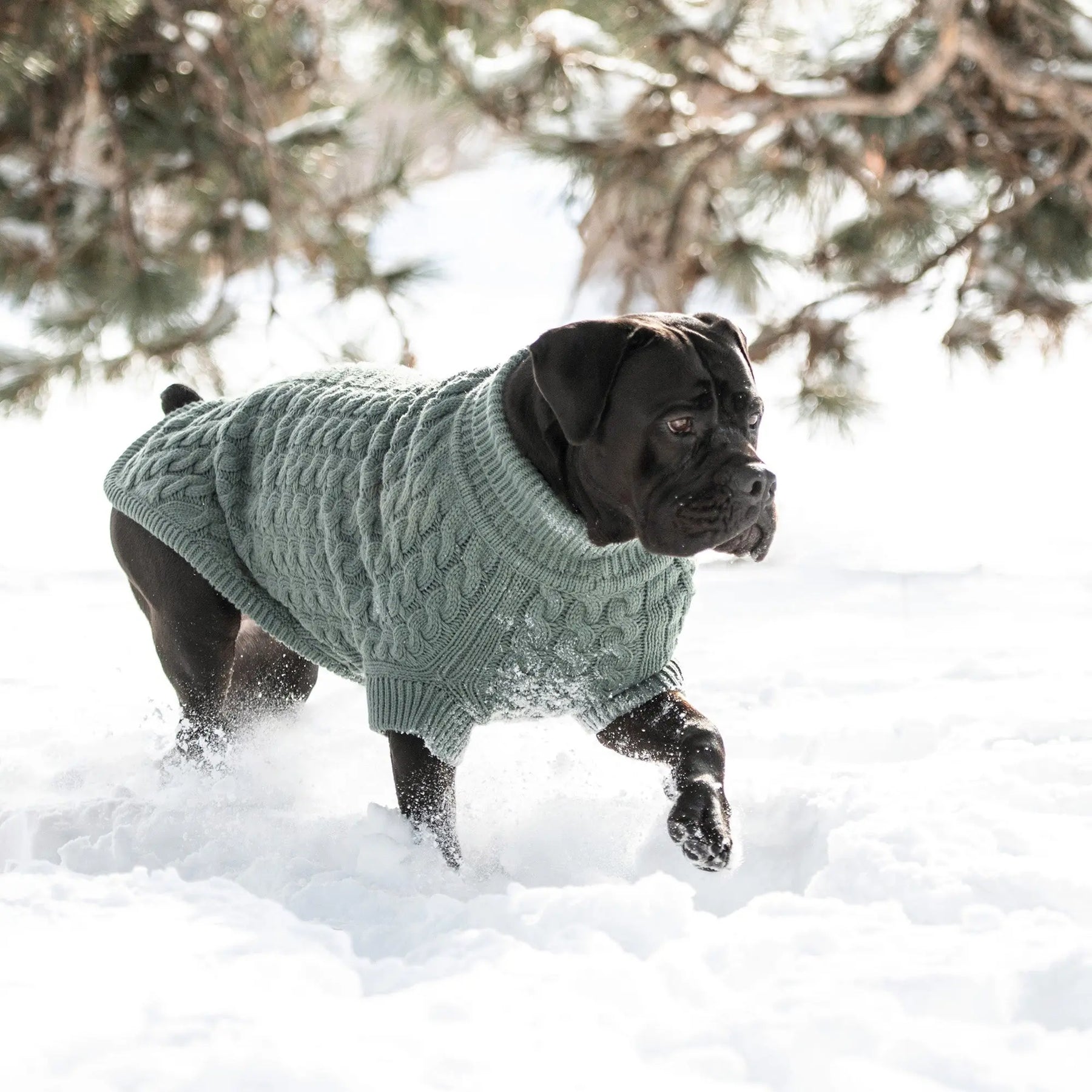 Sweaters & Knitwear
