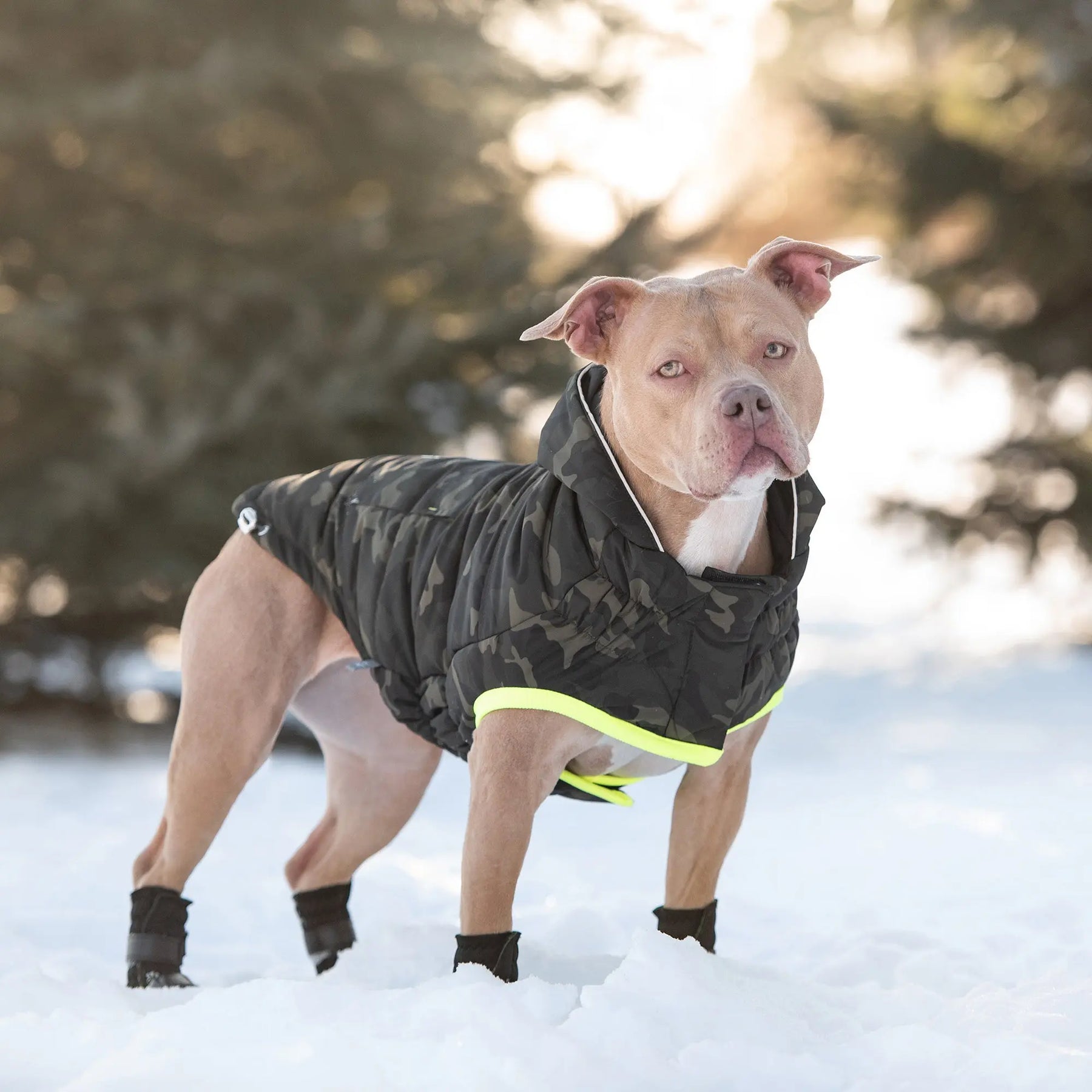 Winter Jackets & Parkas
